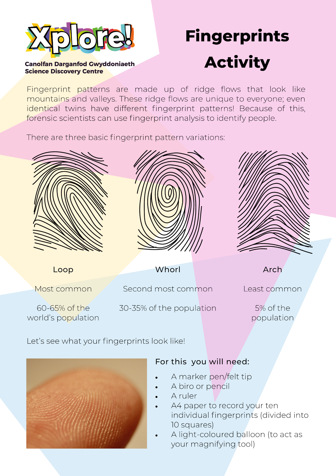Fingerprints Activity