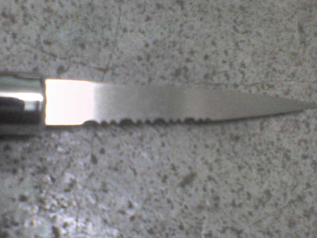 DSC00004.JPG
