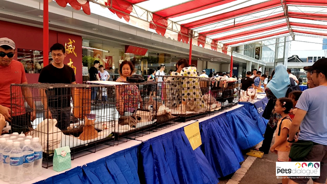 Pet event Singapore