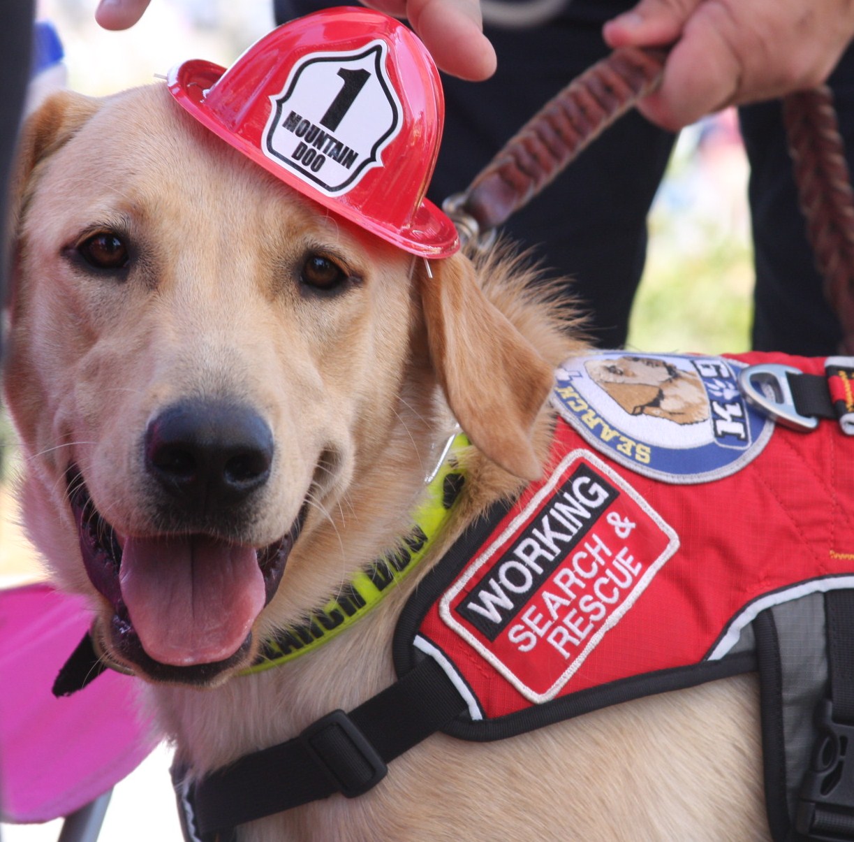 Sparkles the Fire Safety Dog Mountain Doo and K9 Lily Made Honorary