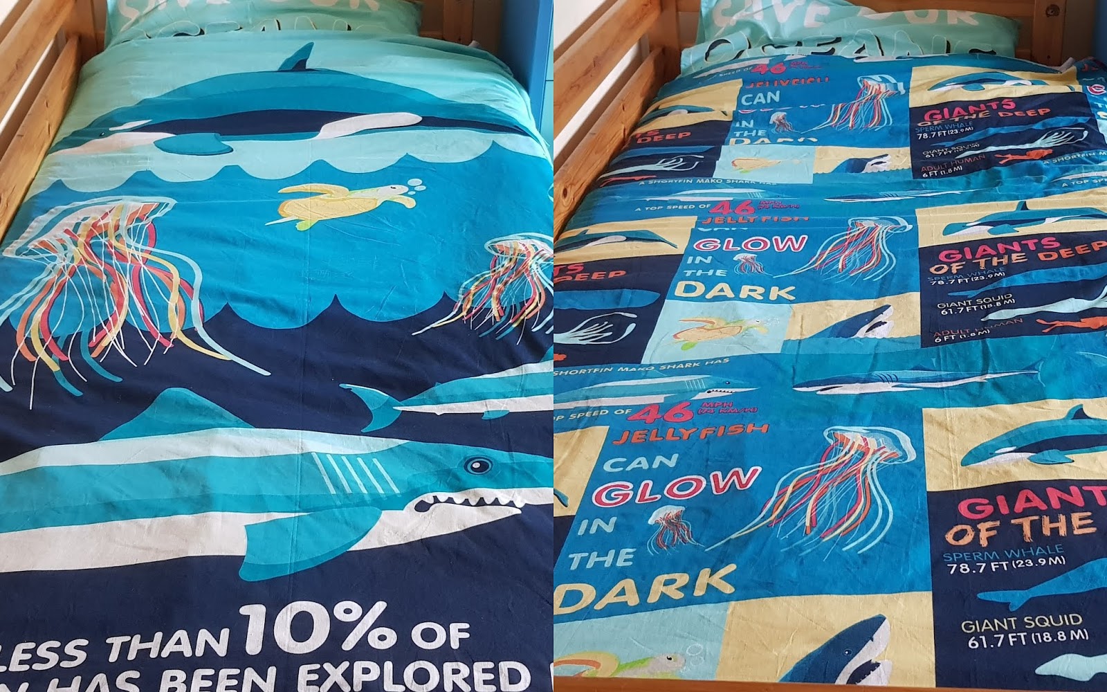 The Brick Castle National Geographic Recycled Plastic Reversible