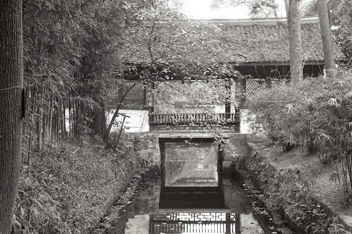 Chendgu, jardin botanique, © L. Gigout, 1990