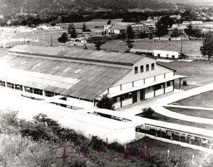 Colegio De La Salle 1955.