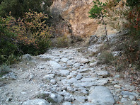 Tram de la via romana del Roc de la Guàrdia