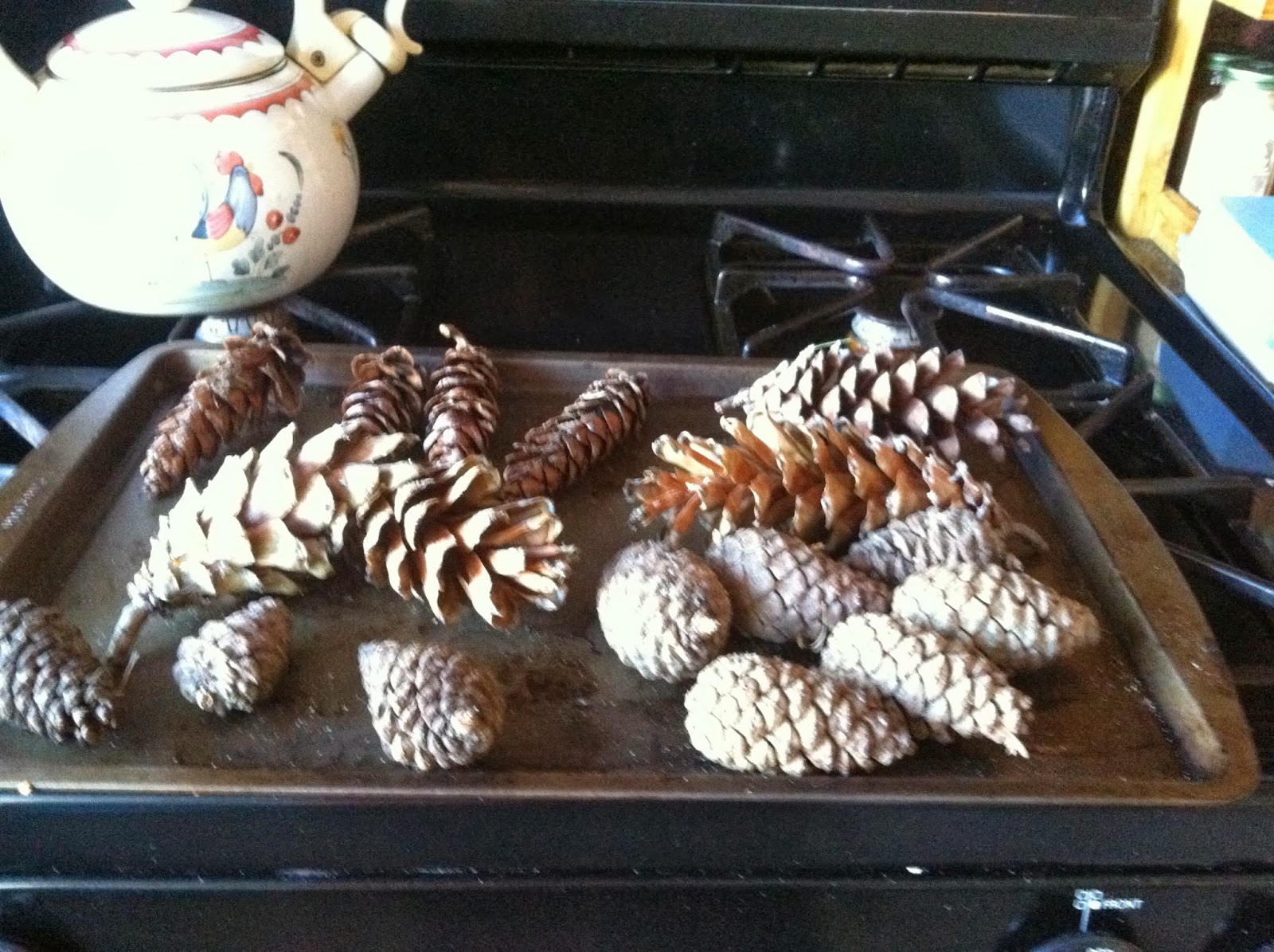 Blossom Cottage & Lace DIY Prepping Pine Cones For Holiday Crafts