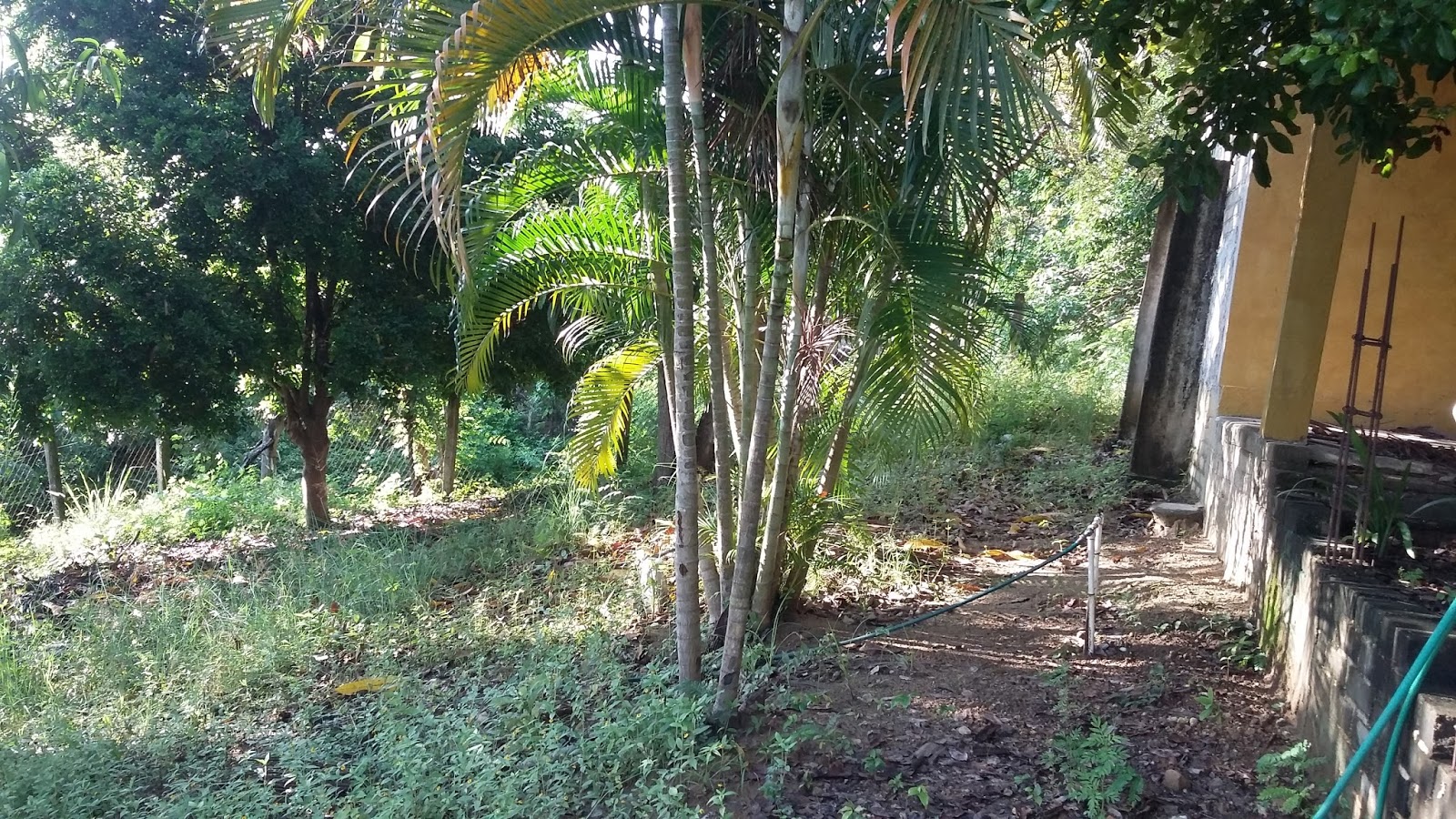 VENTA DE CASAS,RANCHOS Y TERRENOS EN PUERTO ESCONDIDO OAXACA MEXICO