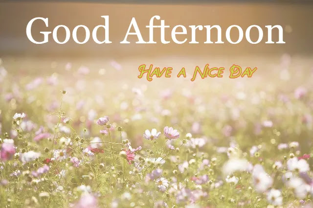 Good Afternoon Image HD Good Afternoon Image HD