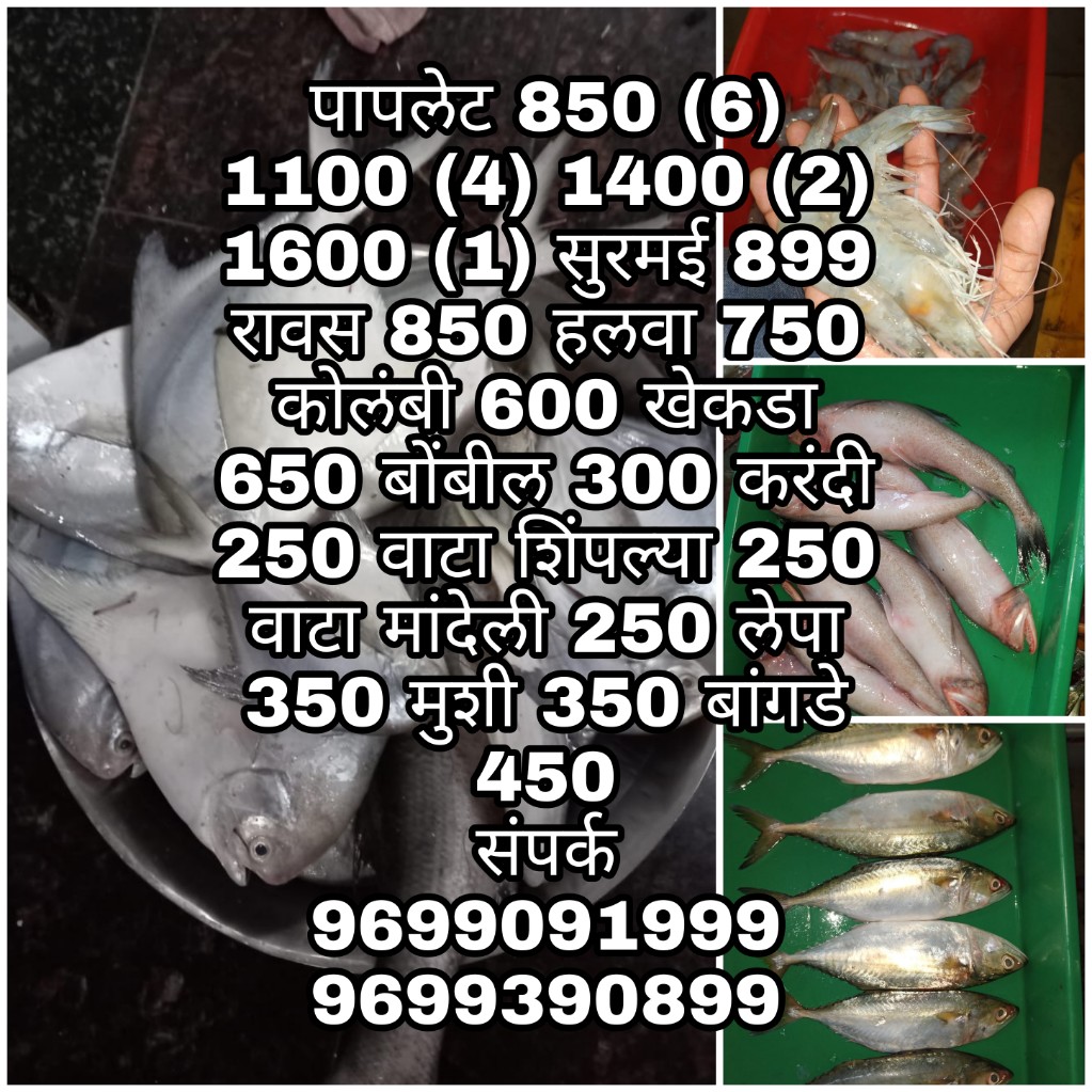 FRESH FISH SUPPLIERS IN MUMBAI Fish Prices Mumbai