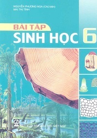 Bài Tập Sinh Học 6 - Nguyễn Phương Nga