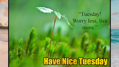 Tuesday Morning quotes Images
