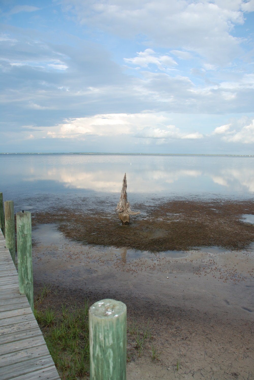 Japanese Temari Cape San Blas, Florida A little slice of heaven