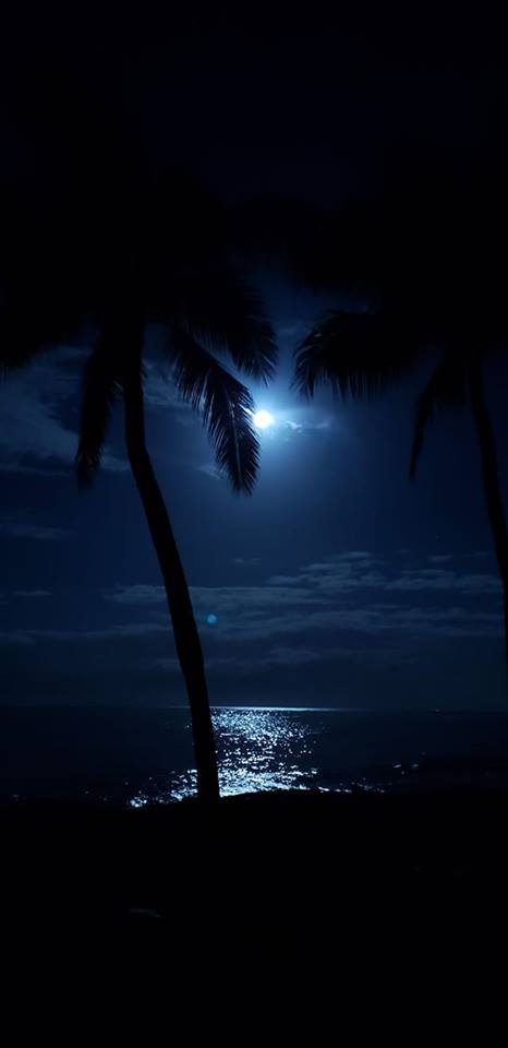 Happy Catholic*: Hawaiian Moon