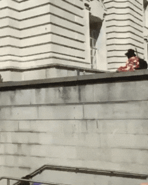 m13.gif