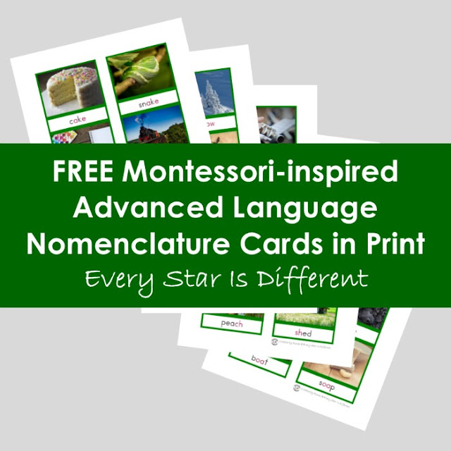 FREE Montessori Language Green Series Nomenclature Cards