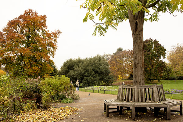 Hyde Park, London, fall, blog, post, photos, photography, park,