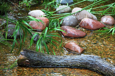 Rock Pond After Image Adjustment