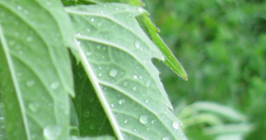 Sciencey Hair Blog HumidityResistant Hair Styling Products