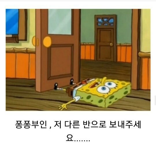 스폰지밥으로 알아보는 학교폭력