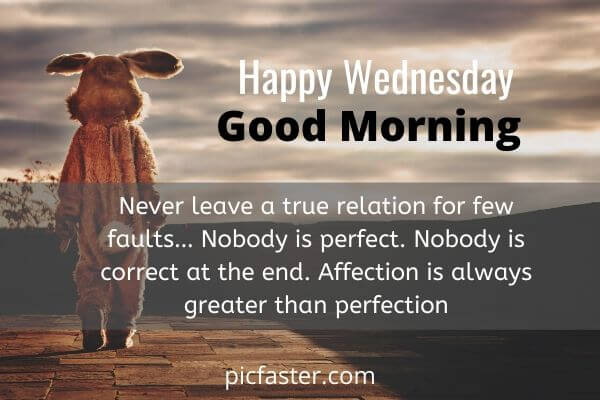 happy wednesday morning quotes