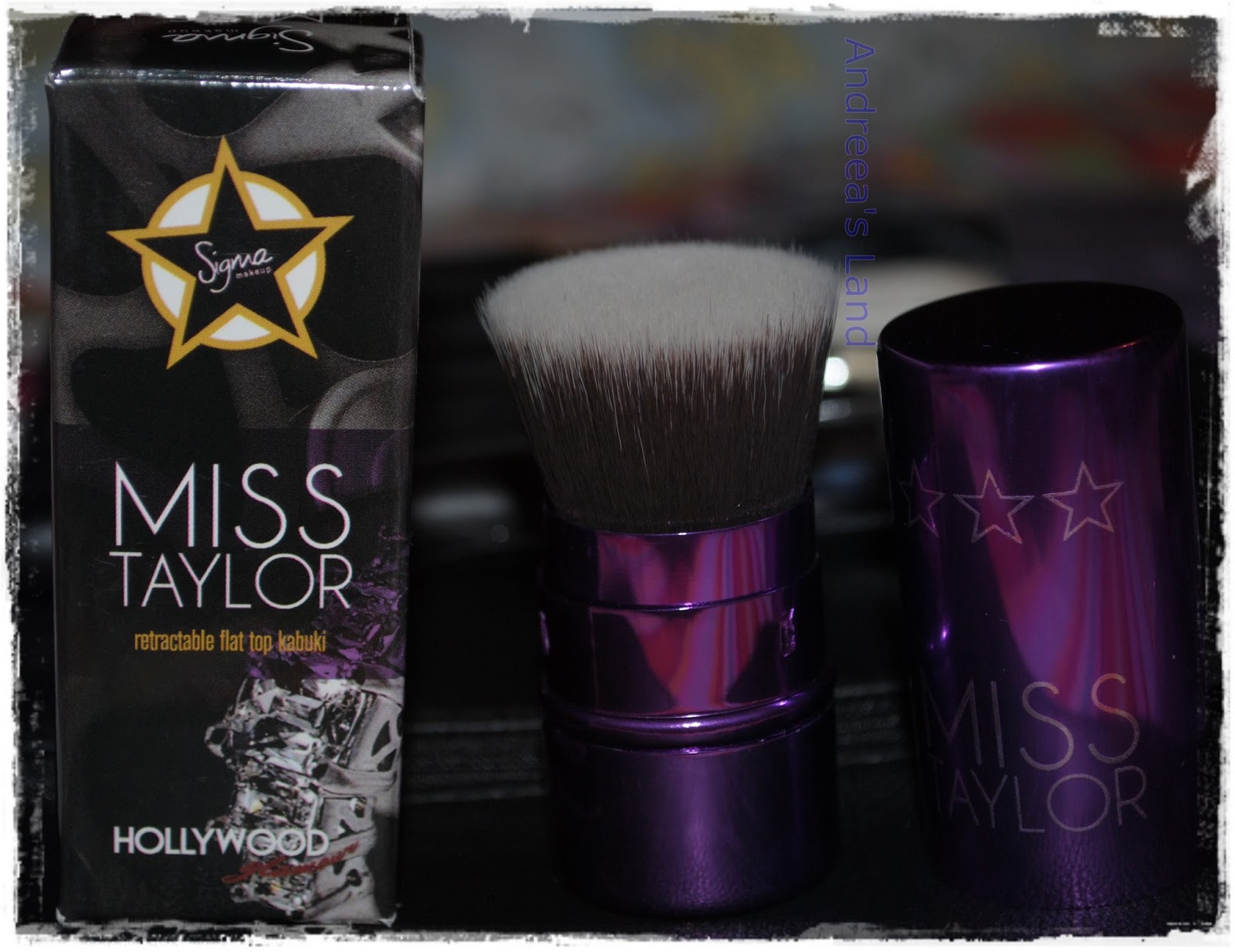 Sigma Brushes & MAC Brushes Andreea's Land ♥