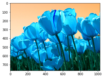 Different Ways to Load Images in Python from Scratch