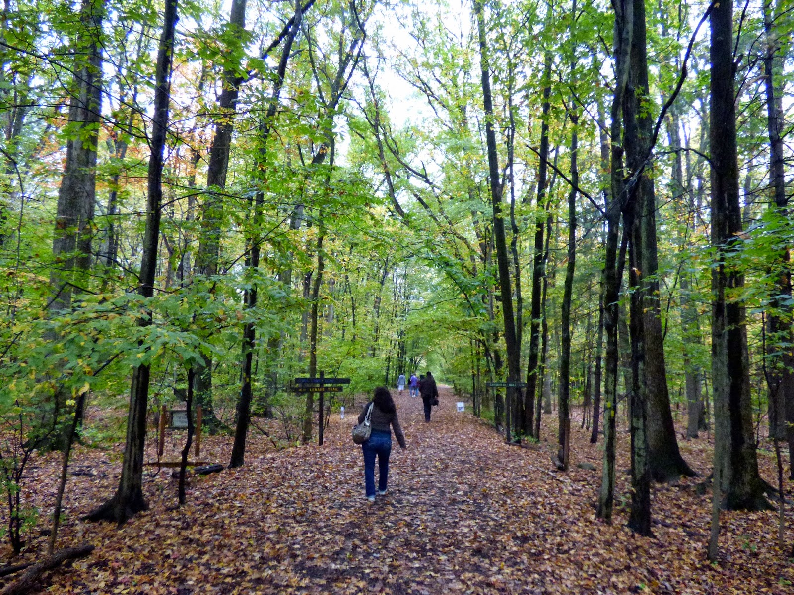 Essex County Place Photo of the Day Hiking at West Essex