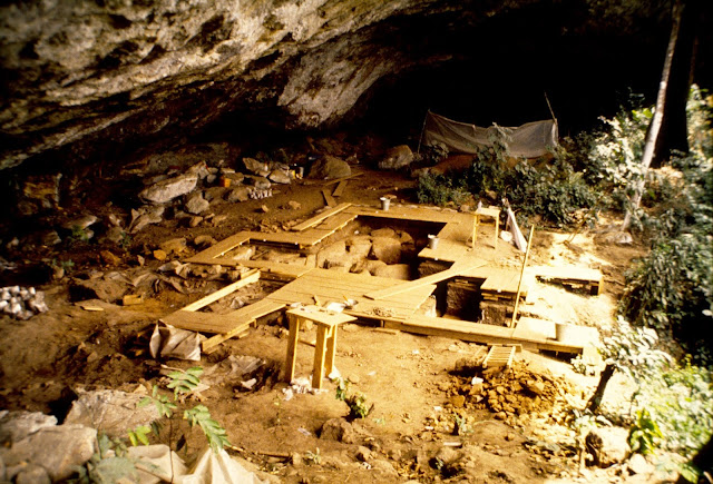 First ancient DNA from West/Central Africa illuminates deep human past