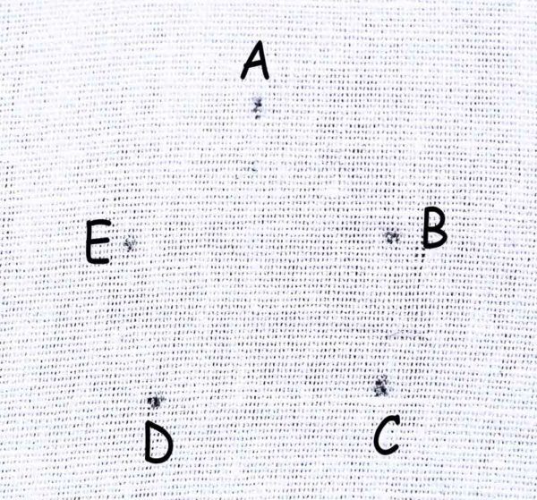 Thêu ngôi sao dệt - Hình 1