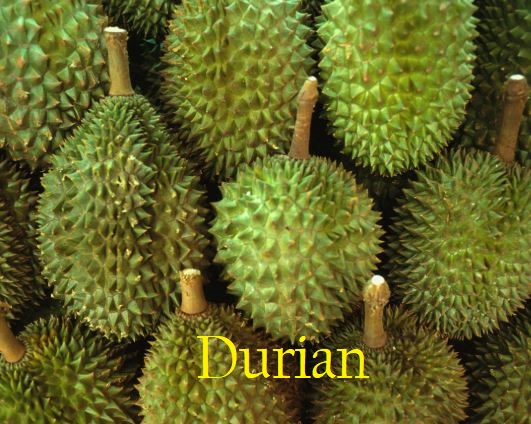 Apakah Anda Tahu Mengenai Tentang Durian