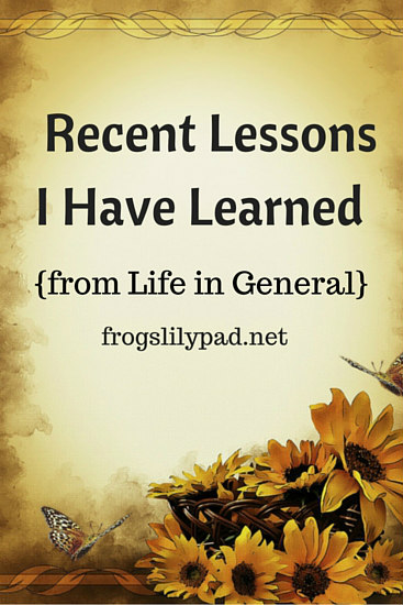 Recent Lessons I Have Learned: Fire Smoke, Job, Chemistry, Technology, Dish Detergent and a Yapping Dog, I've learned lessons from them all. frogslilypad.net