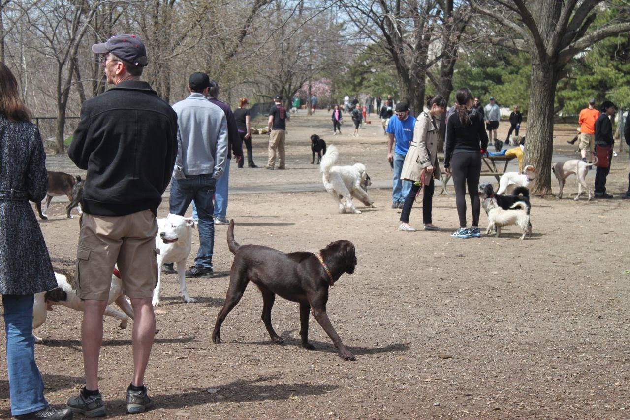 Up North Arlington Dog Park