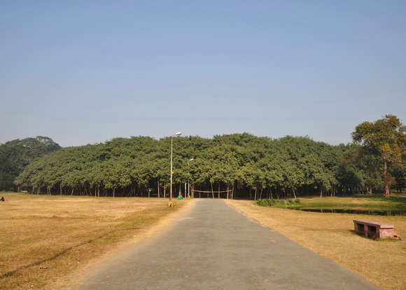 The Great Banyan, India