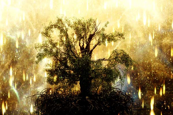 tree_sprouting_once_more.jpg