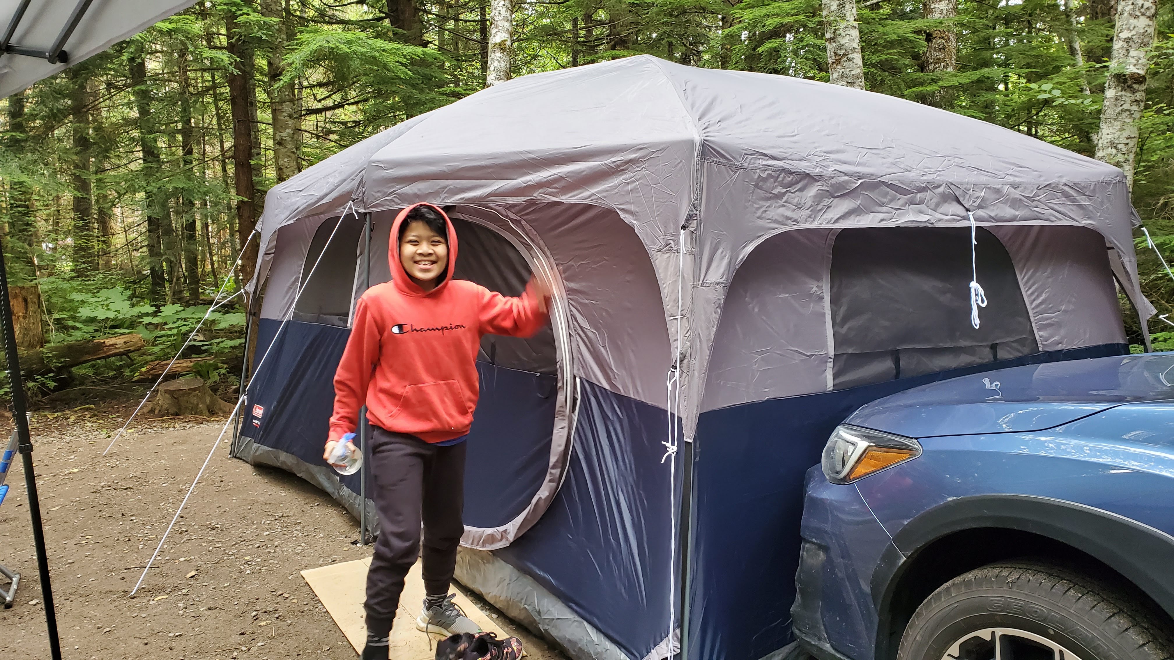 Tips For Camping in Bear Country BUDGET TRAVEL