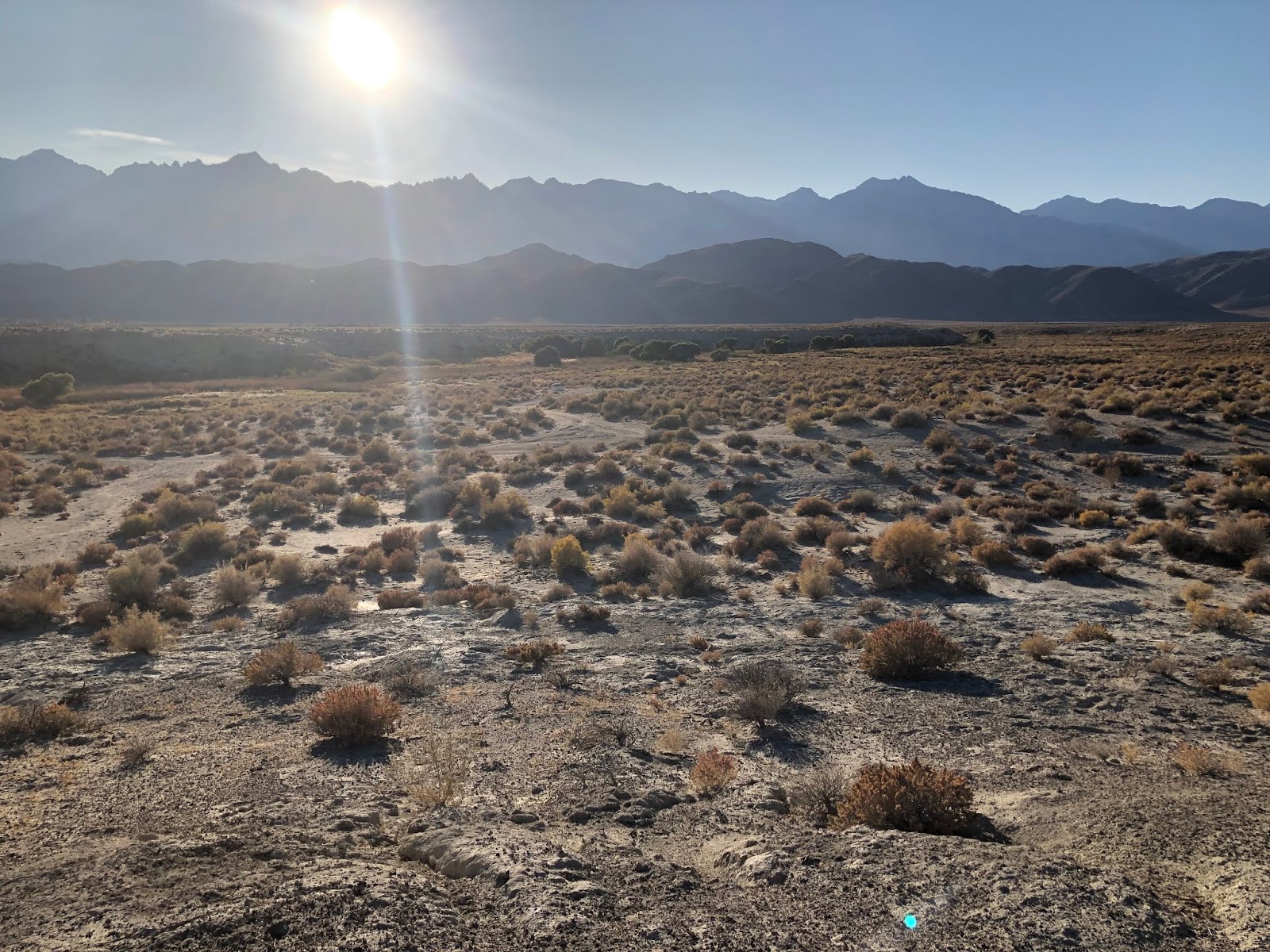 Laura's Miscellaneous Musings The Lone Pine Film Festival Bad Day at