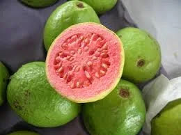 guava,  कच्चा अमरुद ही क्यों खाना चाहिए,benefit of guava