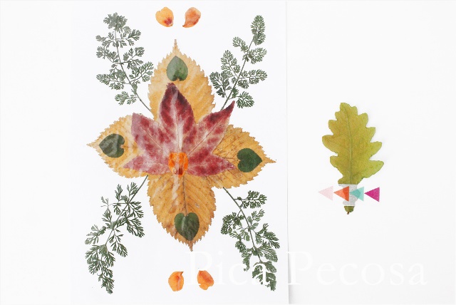 como-hacer-tarjeta-con-hojas-secas-de-otoño-diy-06