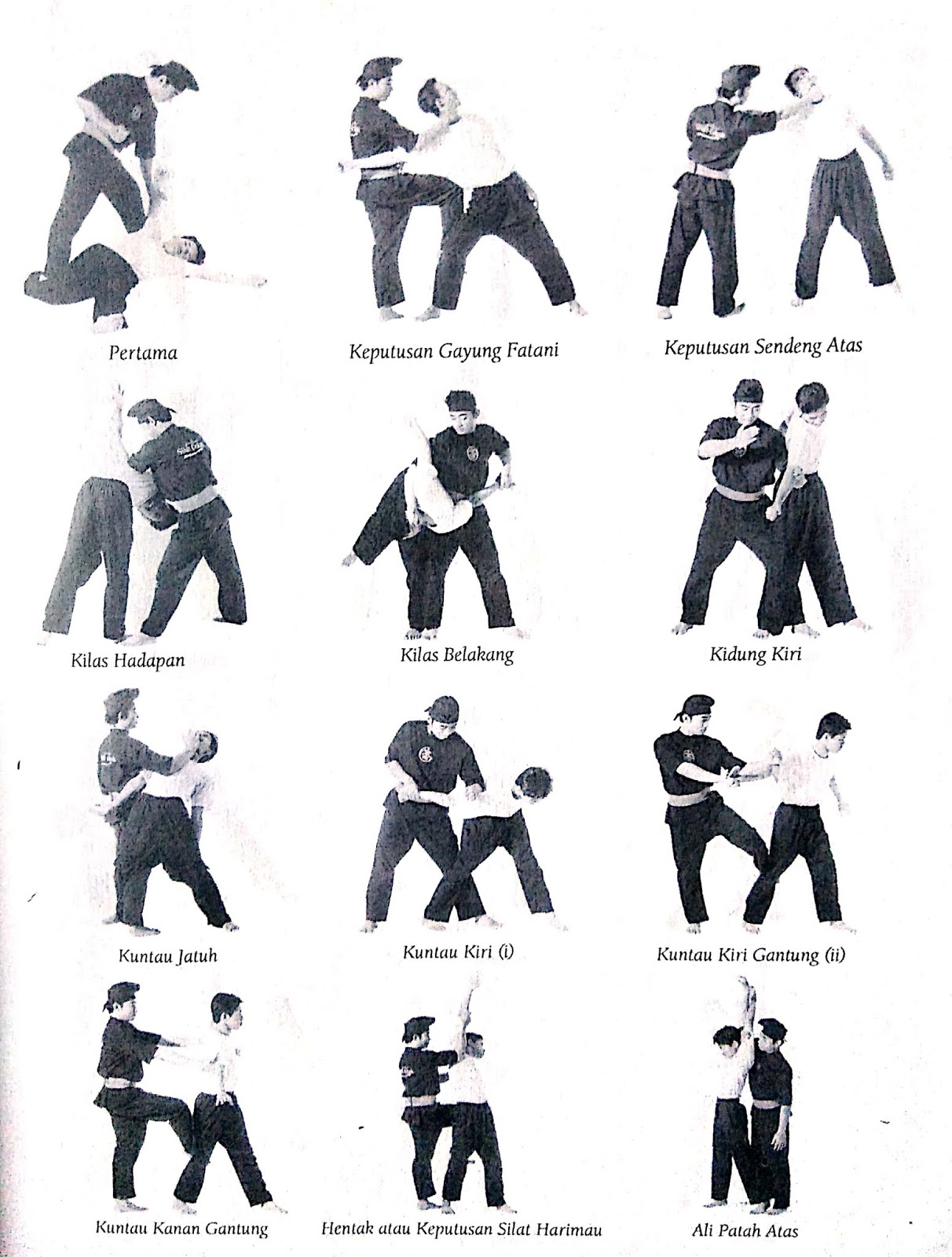 Buah Silat Cekak Malaysia Persatuan Seni Silat Cekak vrogue.co