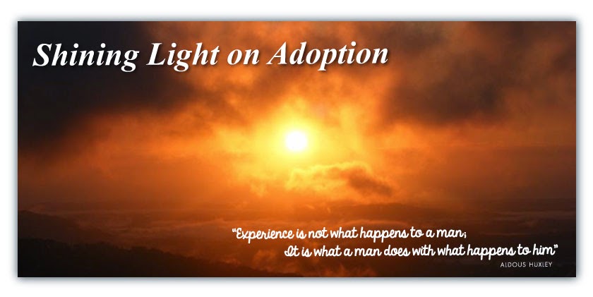 Shining Light on Adoption