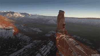 tumblr_ed579cea90be89e9add802c86ef95a12_09336f9b_400.gif