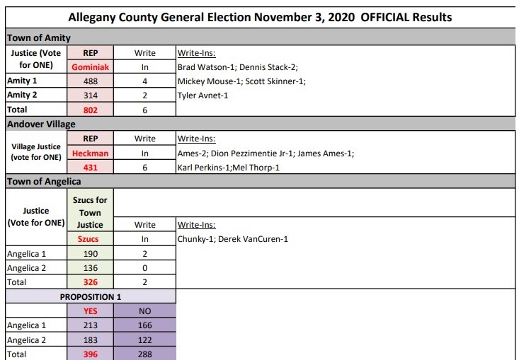 Wellsville Regional News (dot) com Allegany County Official Election