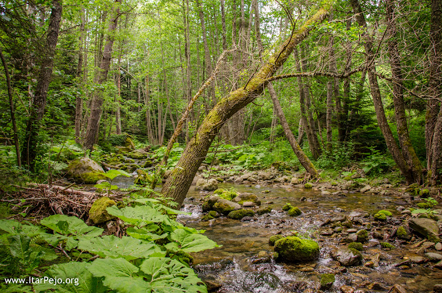 Gradeshka River, Mariovo Region, Novaci Municipality, Macedonia