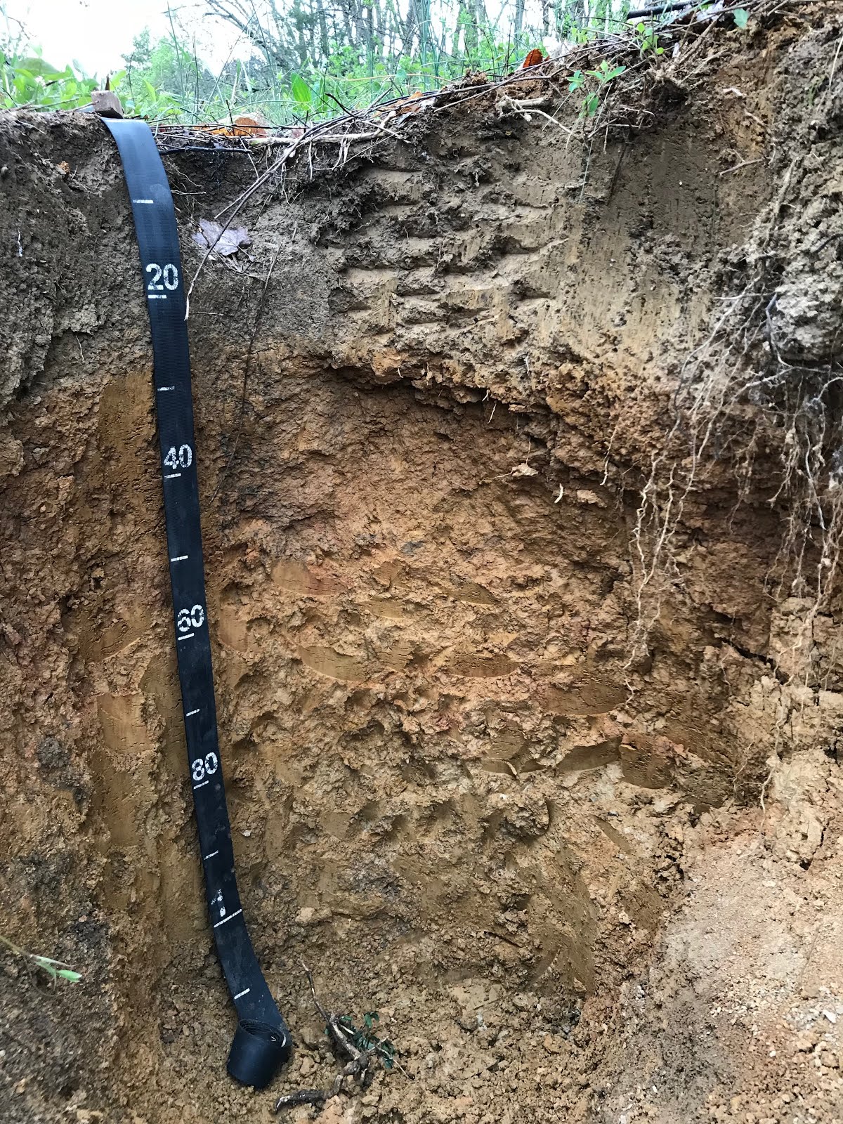 University of Minnesota Soil Judging Team 2019 NACTA Soil Judging The