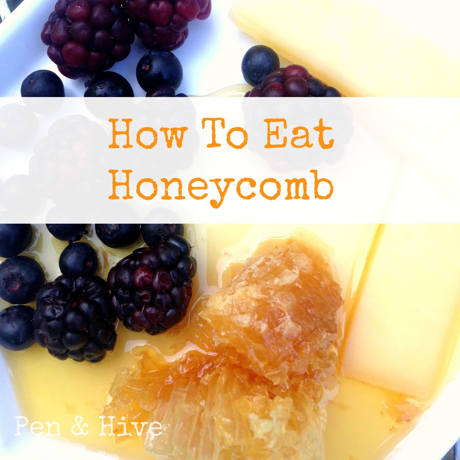 Pen & Hive How to Enjoy