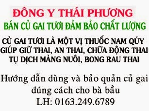 Chuyên Bán Củ Gai Tươi Đảm Bảo Chất Lượng