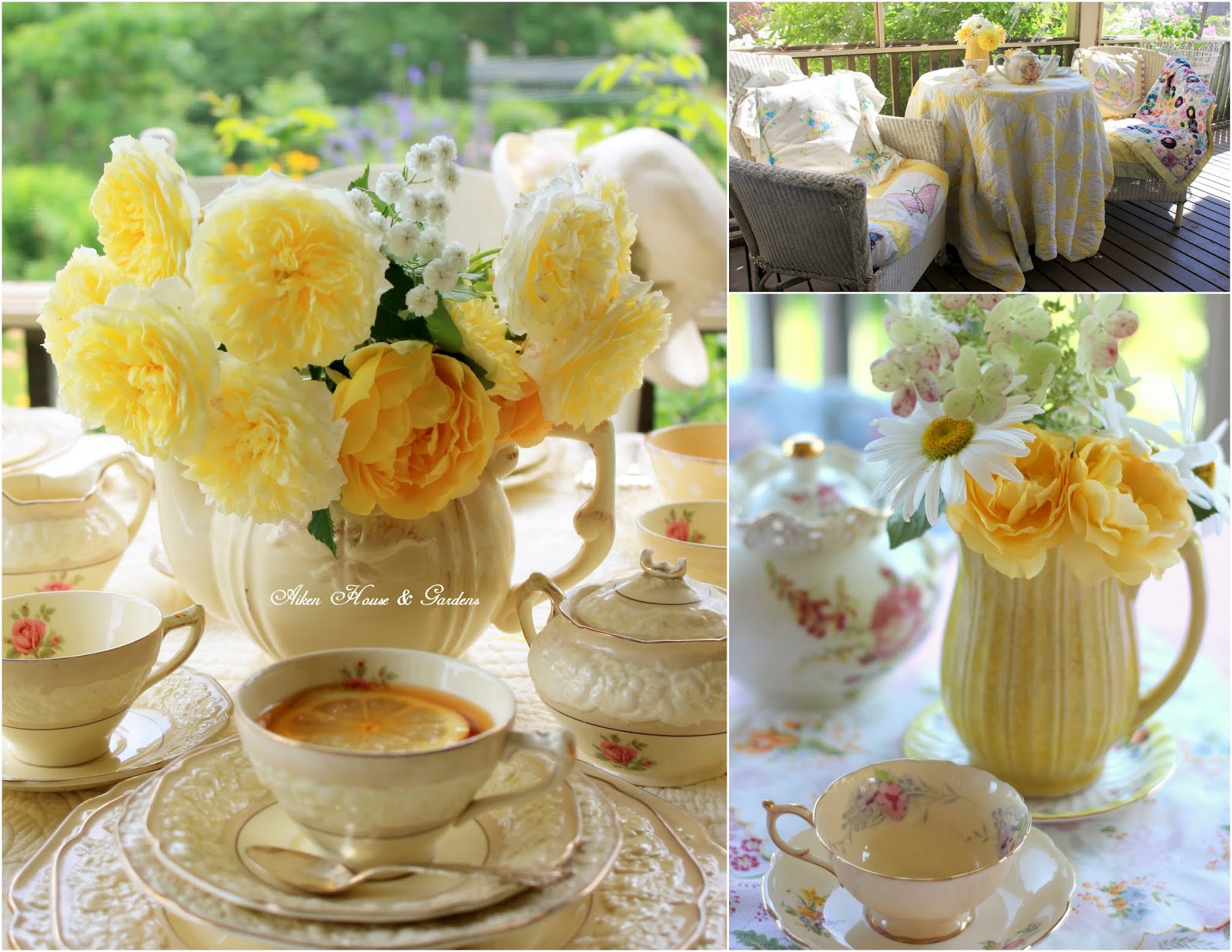 Aiken House & Gardens: David Austin English Roses