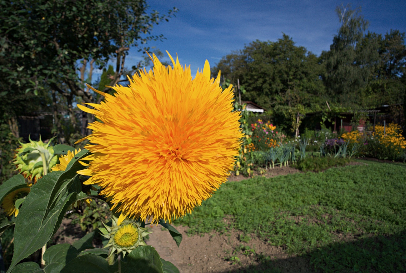 Bilder des Tages #133 — Spätsommertag