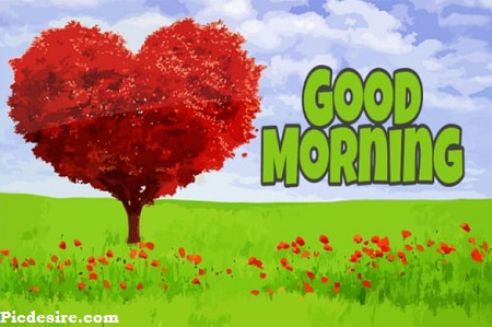 Heart Good Morning Heart Good Morning
