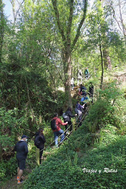 Cuevas de Andina, Asturias