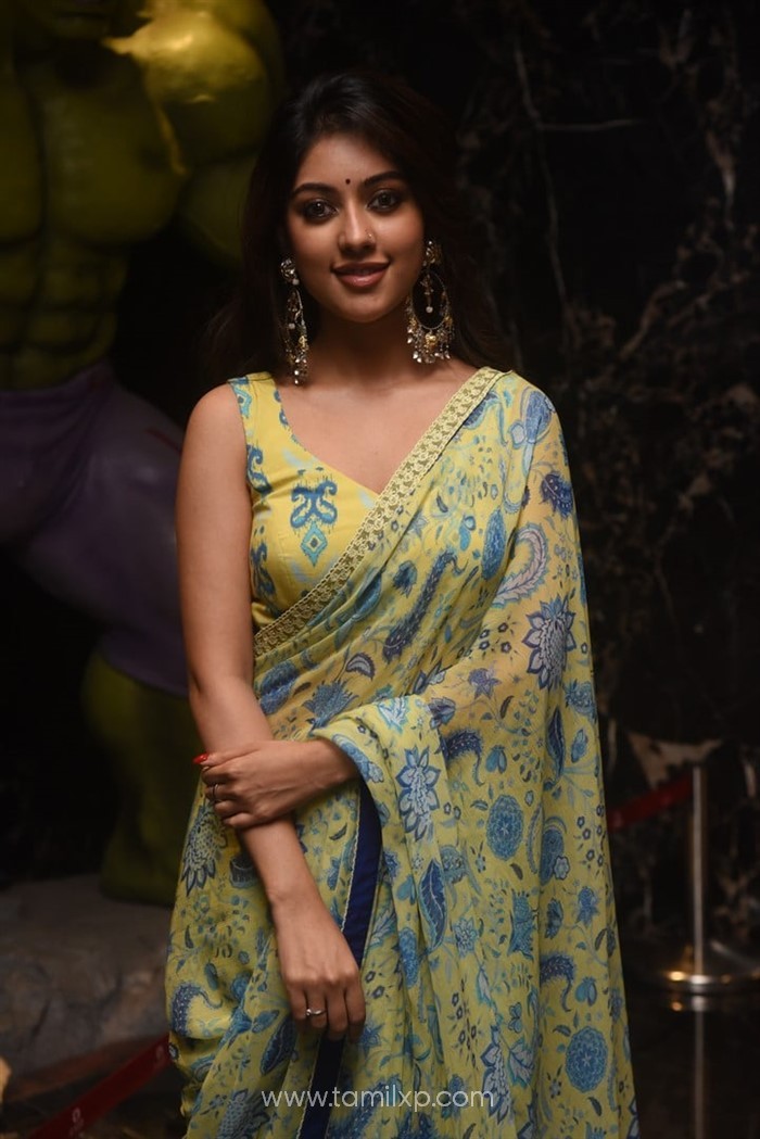 Telugu Actress Anu Emmanuel Saree Photos